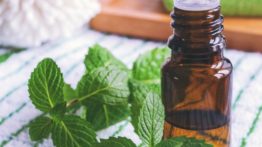 15 melhores usos e benefícios do óleo de hortelã-pimenta, para a saúde intestinal, dores de cabeça e muito mais