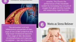 Benefícios do óleo de Clary Sage para dores menstruais, equilíbrio hormonal e muito mais
