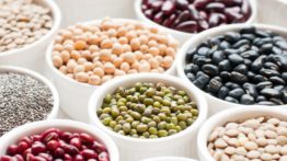 Os 15 melhores alimentos à base de proteína vegetal que combatem doenças e aumentam a perda de peso