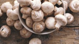 Benefícios nutricionais dos cogumelos: combatentes do câncer e regeneradores de células