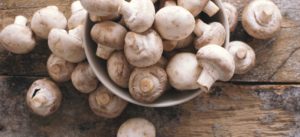 Benefícios nutricionais dos cogumelos: combatentes do câncer e regeneradores de células