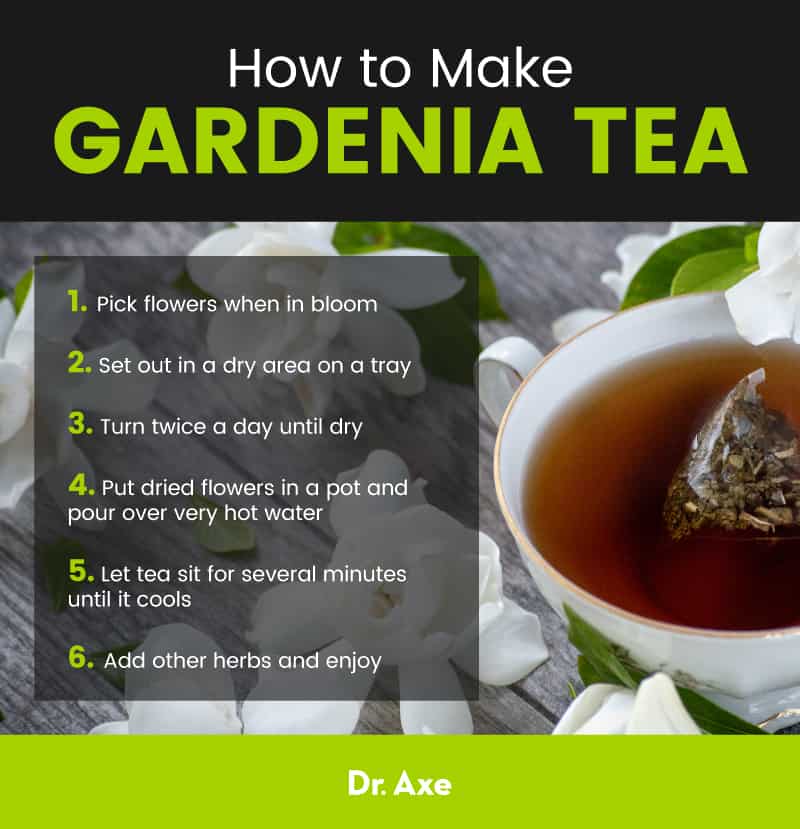 Chá Gardenia - Dr Axe