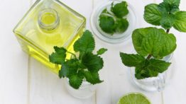 Óleo essencial de erva-limão – usos e benefícios para a pele, cabelo e mais